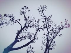 -宝界山林公园