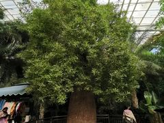 -石家庄市植物园