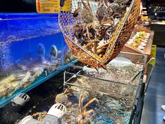 -苏格里岛自助烤肉海鲜火锅(成都金牛万达店)
