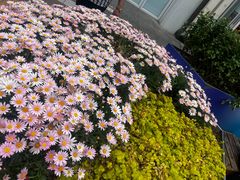 -王府井步行街