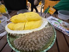 -榴莲BB 四季果园