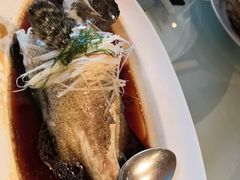 -富淳饭店(陆家嘴保利广场店)