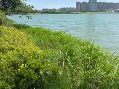 -高子水居