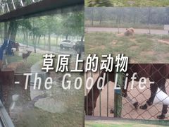 -秦皇岛野生动物园