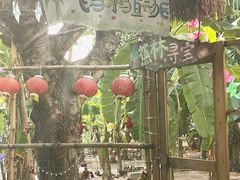 -麻涌飞鸭开心农场