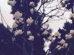 仙海风景区-仙海旅游度假区