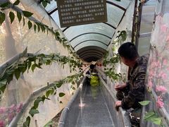 -大连天门山国家森林公园