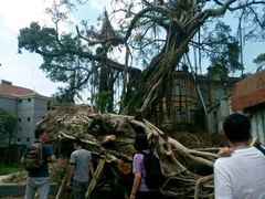 -黄胜记鼓浪屿肉松店(龙头路店)