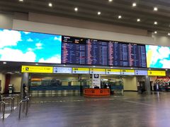 -谢列梅捷沃国际机场