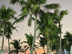 -玫瑰海岸文化旅游度假区