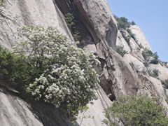 -北京凤凰岭