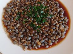 -华盛丰温州大排档(东三环南路店)