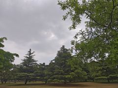 -泰丰公园
