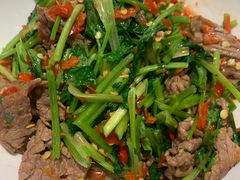 香菜炒牛肉-壹盏灯(蚂蚁工房店)