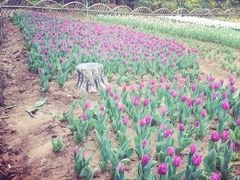 iphone_upload_pic-白马涧龙池景区