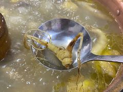 -朴小妹人参鸡汤火锅(长白山万达店)