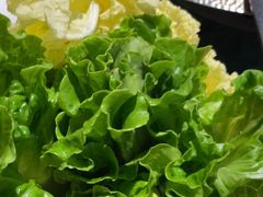 -麻田会 ·鲜活现烹·牛蛙火锅(珠江新城维家思广场店)