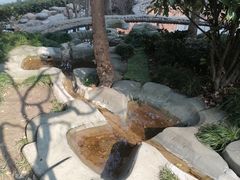 -活水公园