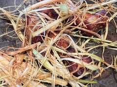 -滇野云南野生菌餐厅(陕西南路店)