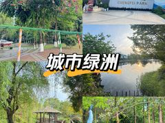 -成飞公园