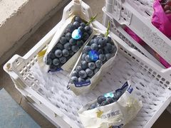 -马陆小张葡萄园农家乐