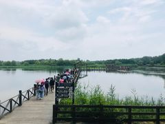 -溱湖国家湿地公园