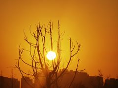 -汉长安城未央宫国家考古遗址公园