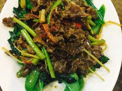 -肥信潮菜(科新路店)