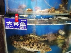 -粥全粥到海鲜家常菜(瞿塘峡路店)
