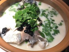 -姜君·千岛湖鱼头馆(浦东大道店)