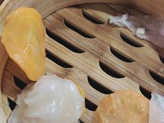 -金鼎轩(阜成门店)