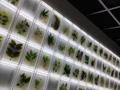 -广东中医药博物馆