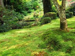 -三千院