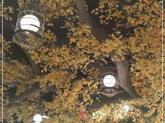 大堂-松针蔡记蒸饺(花园路店)