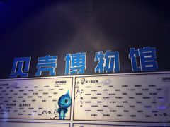 -贝壳梦幻世界