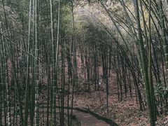 -敬亭山风景名胜区