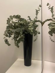 -LB·海菲秀牛奶光官方体验中心