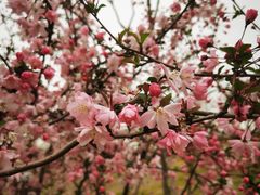 -广富林郊野公园