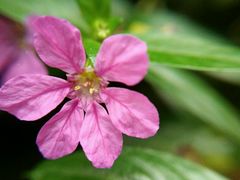 -广东茂名森林公园