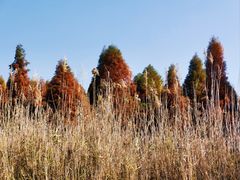 -捞渔河湿地公园