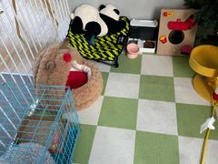 -上海浦东smart汽车全功能店(金桥店)