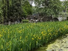 -莲湖公园