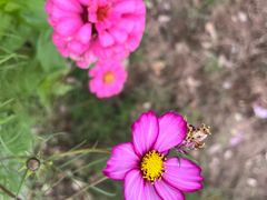 -河南大学(龙子湖校区)