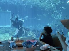 -海棠湾洲际-涛·海底餐厅·美人鱼·自助餐·海底隧道