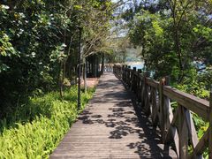 -广州市流溪河国家森林公园