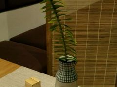 -柴务处·柴犬主题狗咖