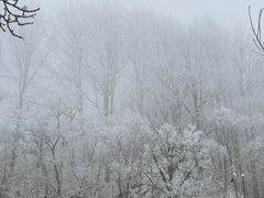 -秦岭终南山世界地质公园翠华山景区