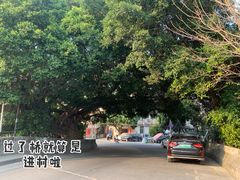 -小洲村