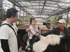 -呀路古热带植物园-恐龙馆