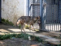 -深圳野生动物园